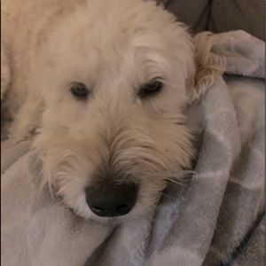 We like offers.. feel free to make some! ❤️